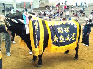 画像5: ガウン3点セット (5)